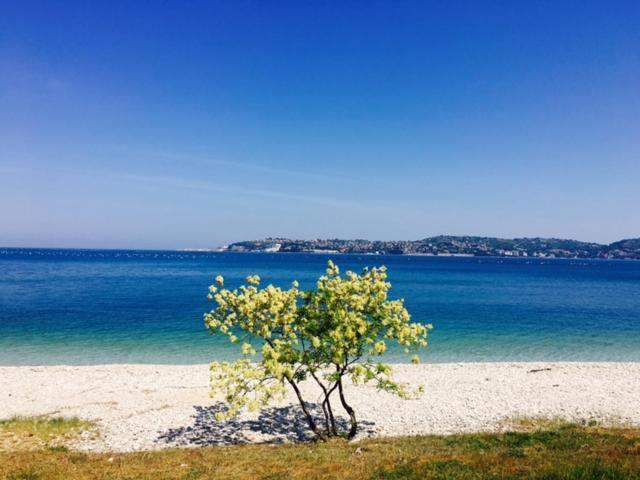 Apartment Umag Nelly Luaran gambar