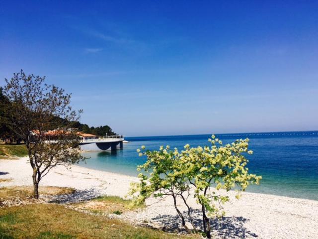 Apartment Umag Nelly Luaran gambar